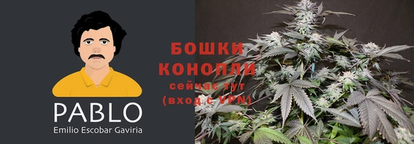 МДПВ Орехово-Зуево