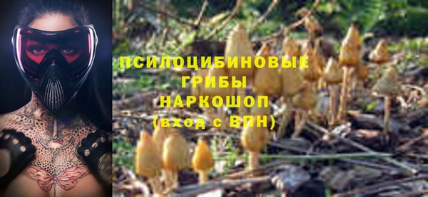 герыч Абаза
