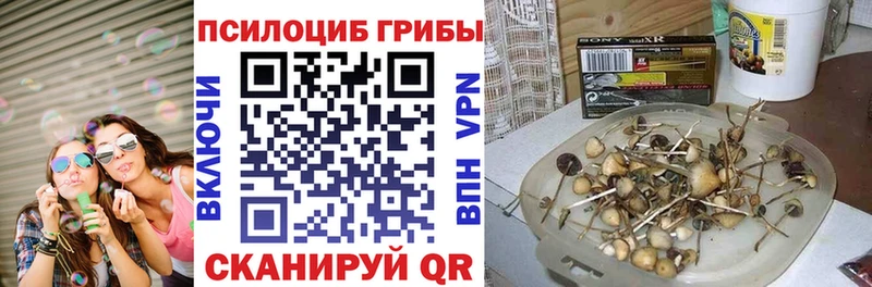 цены   Анадырь  Галлюциногенные грибы Psilocybine cubensis 