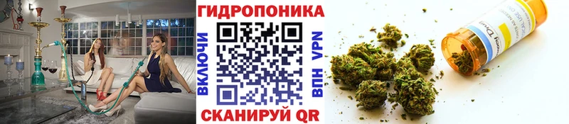 Канабис OG Kush  Анадырь 